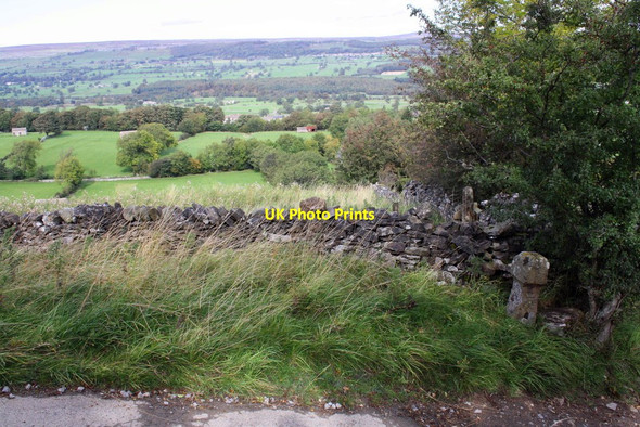 Photo 6"x4" View north from High Lane\/Witton Steeps junction West Witton c2011