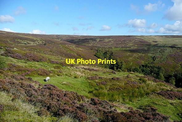 Photo 6"x4" Rosedale Moor Church Houses c2011