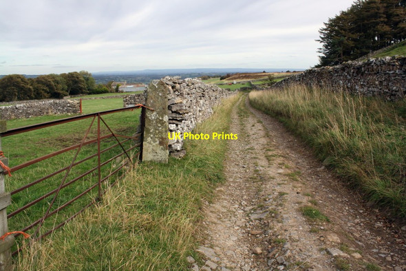 Photo 6"x4" View east along Flint Lane West Witton c2011