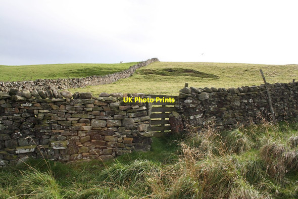 Photo 6"x4" View south at small gateway on Flint  Lane West Witton c2011