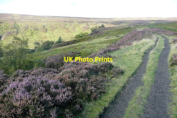 Photo 6"x4" Circuit of Rosedale Church Houses c2011