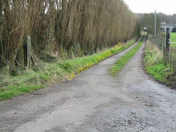 Photo 6"x4" Farm road to Little Pett Farm. Lower Hardres c2007