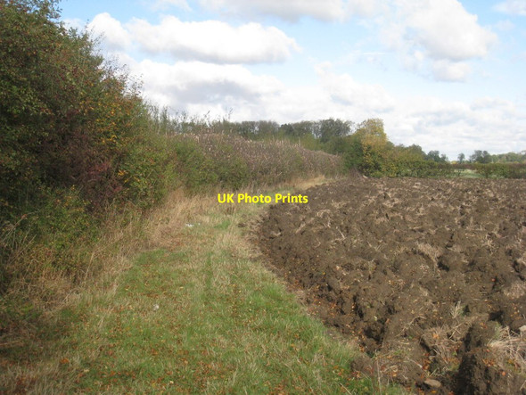 Photo 6"x4" Field edge Gainsborough\/SK8189 c2011