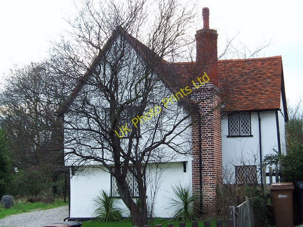 Photo 6"x4" Poplars - Penny Royal Rd - Danbury Horne Row c2007