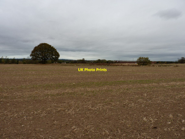 Photo 6"x4" Open field and a newly-planted copse near Wrockwardine Cross Green\/SJ6112 c2011