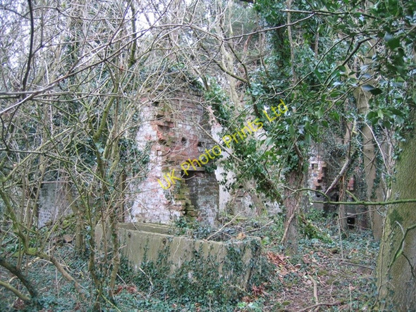 Photo 6"x4" Ruin in Coed y Cra Flint\/Y Fflint c2007