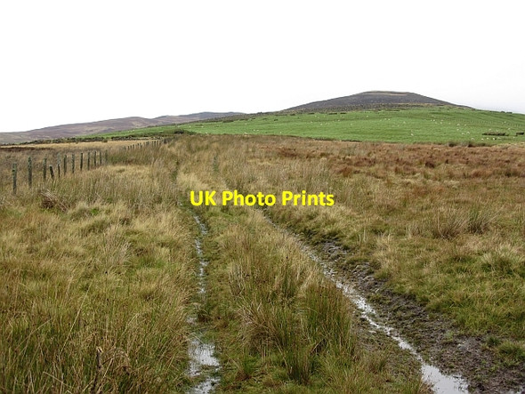 Photo 6"x4" Rough grazing, Glen Moy Moory c2011