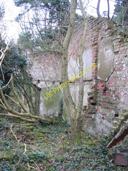 Photo 6"x4" Interior of Ruin in Coed y Cra Flint\/Y Fflint c2007