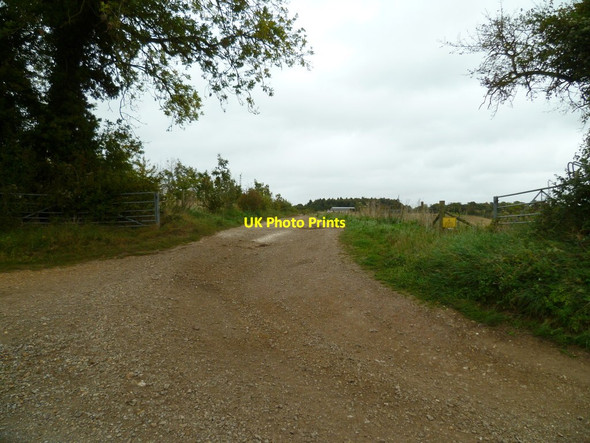 Photo 6"x4" Farm track at Turrill Hill Farm Laverstoke c2011