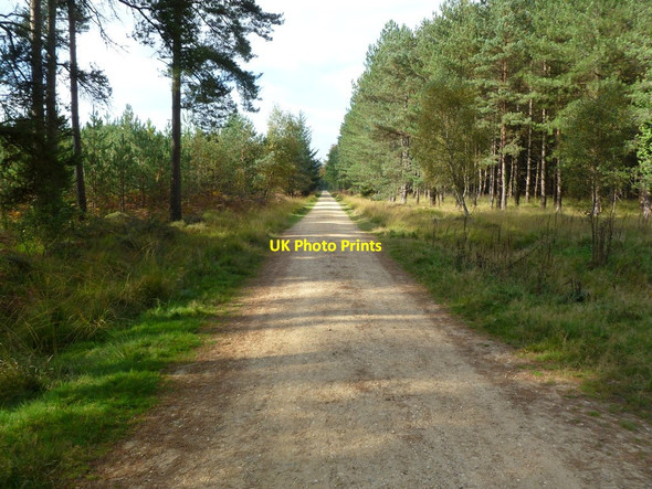 Photo 6"x4" Poundhill Inclosure, cycle trail North Weirs c2011