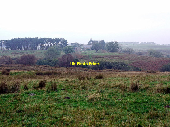Photo 6"x4" Rough pasture south of Wandystead Edlingham c2011