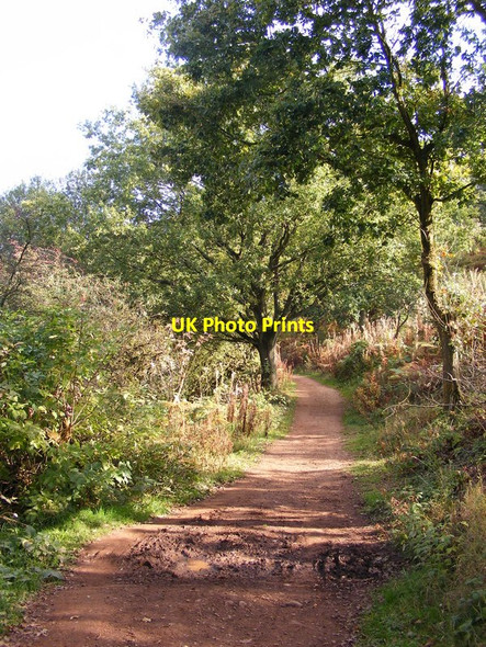 Photo 6"x4" Clent Path Clent c2011