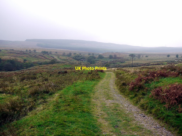 Photo 6"x4" Track south of Wandystead Edlingham c2011