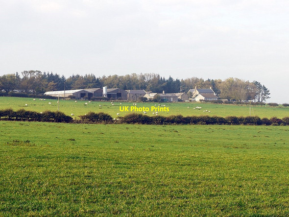 Photo 6"x4" Newtown from south-east Edlingham c2011