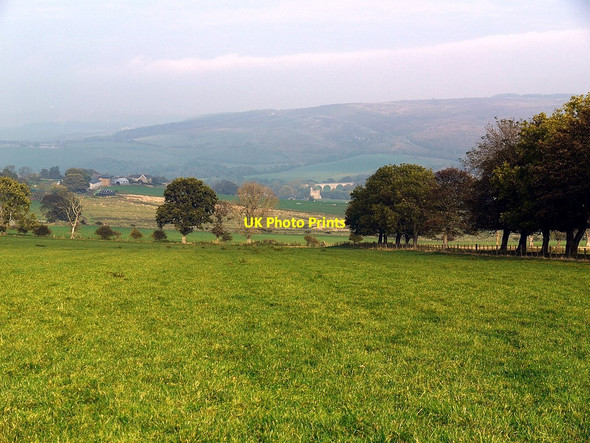 Photo 6"x4" Field south-east of Newtown Edlingham c2011