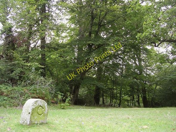 Photo 6"x4" Boundary stone on The Ridge, Busketts Wood, New Forest Woodlands\/SU3211 c2005
