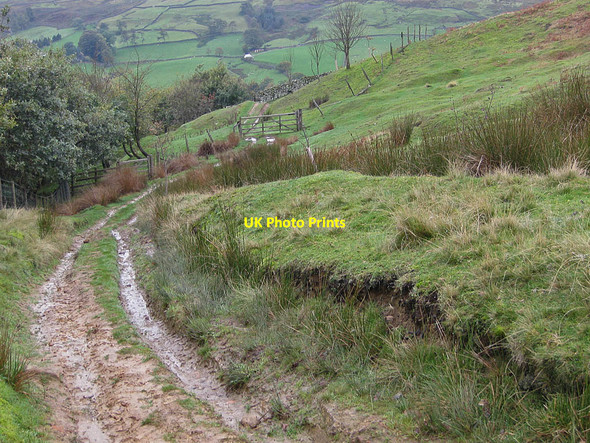 Photo 6"x4" Muddy track down to Dale Head Farm Thorgill c2011