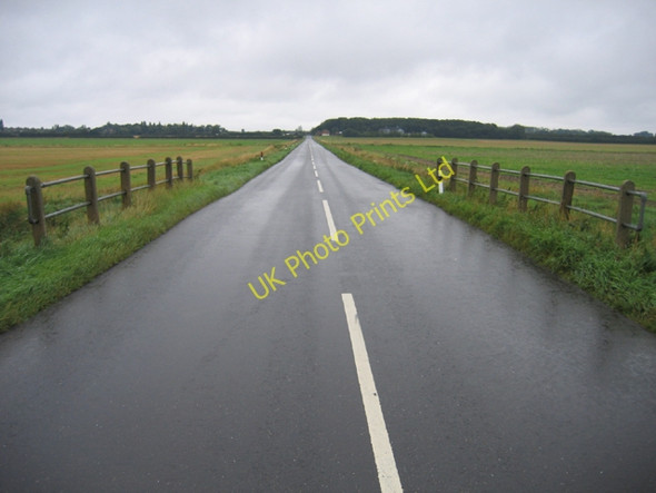 Photo 6"x4" View towards the fen edge, Newborough Fen, Peterborough Eye Green c2005