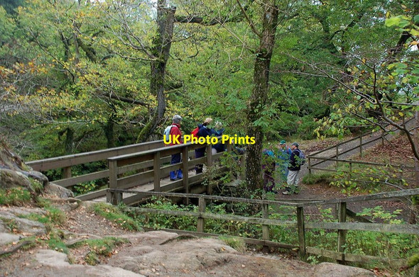 Photo 6"x4" Footbridge at High Force, Aira Beck Dockray\/NY3921 c2011