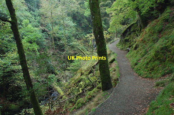 Photo 6"x4" Path near Aira Force Dockray\/NY3921 c2011