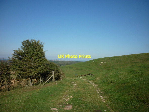 Photo 6"x4" Heading downhill towards Nunwell Farm Adgestone c2011