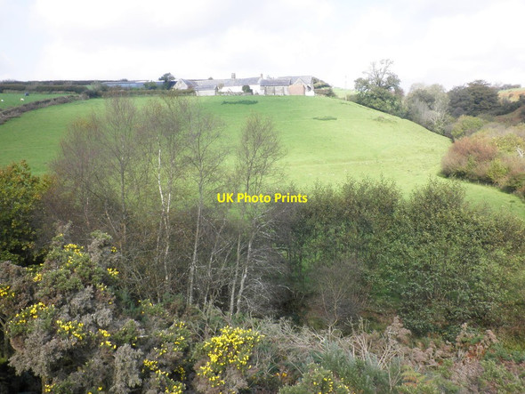 Photo 6"x4" Hillside, below Cloggs Farm Hawkridge c2011
