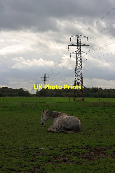 Photo 6"x4" Electricity Transmission Pylons Lockton c2011