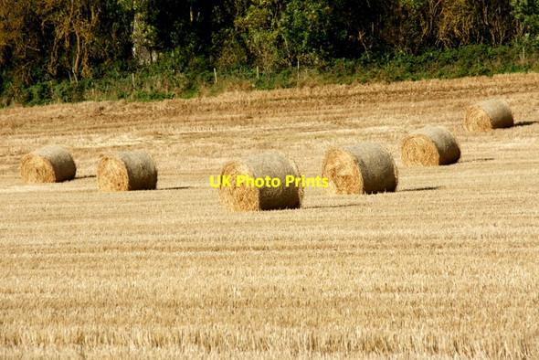 Photo 6"x4" Straw bales, Lethendy Kirkton of Lethendy c2011