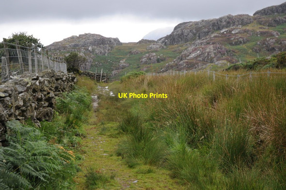 Photo 6"x4" Path to Cnicht Croesor c2011