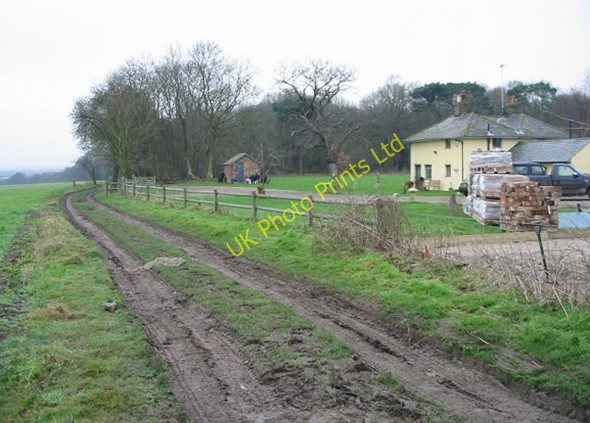 Photo 6"x4" Telegraph Farm on the edge of Nine Acre Wood Betteshanger c2007