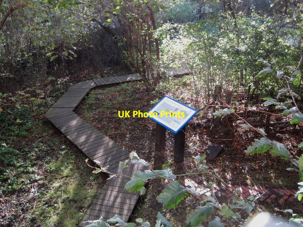 Photo 6"x4" A wildlife reserve by Edinburgh Castle Edinburgh c2011