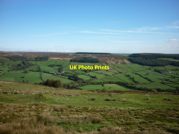 Photo 6"x4" Looking north from Top Bank Rosedale Abbey c2011