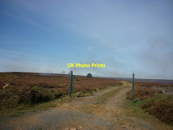 Photo 6"x4" A track off Heygate Bank Rosedale Abbey c2011