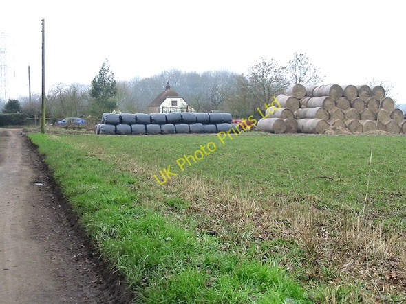 Photo 6"x4" Straw bales on Little Westwood Farm Lynsore Bottom c2007