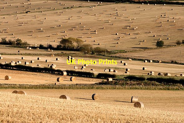 Photo 6"x4" Farmland at New Smailholm East Third\/NT6436 c2011