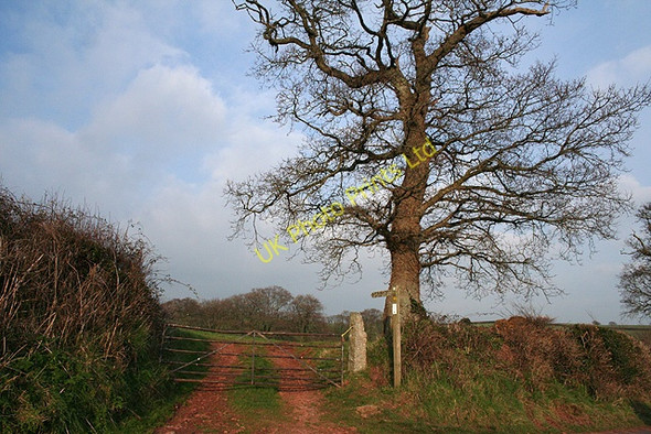 Photo 6"x4" Colebrooke: the Two Moors Way Colebrooke\/SS7700 c2007