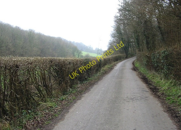 Photo 6"x4" Pett Bottom road as it starts to climb towards Stelling Minnis Stelling Minnis c2007