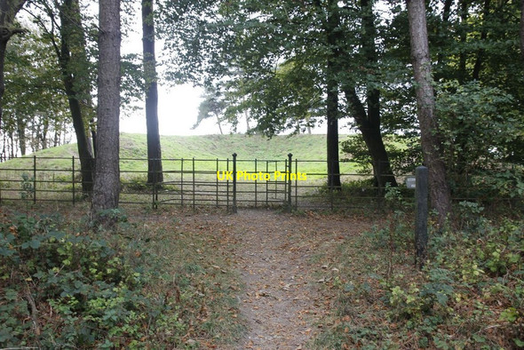 Photo 6"x4" Gate to the Knob East Ginge c2011