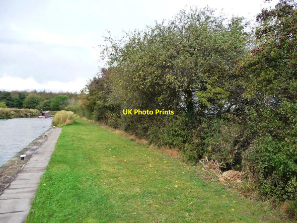 Photo 6"x4" Windfall apples on the canal towpath Barnby Moor c2011