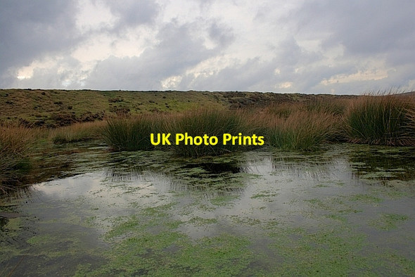 Photo 6"x4" Pond, Farndale Moor Church Houses c2011