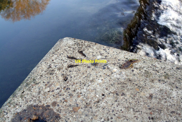 Photo 6"x4" Benchmark on side wall of Back Water weir Abingdon c2011