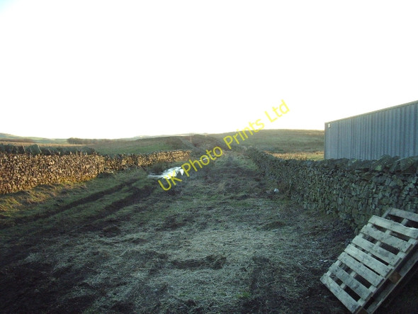 Photo 6"x4" Muddy track Beck Foot\/SD6196 c2007