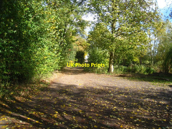 Photo 6"x4" Track \/ footpath Little Shelford c2011