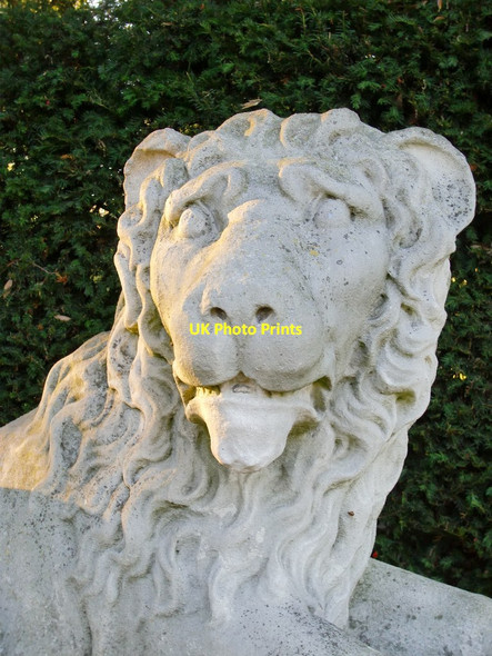 Photo 6"x4" Statuary at Chiswick House: a lion Chiswick c2011