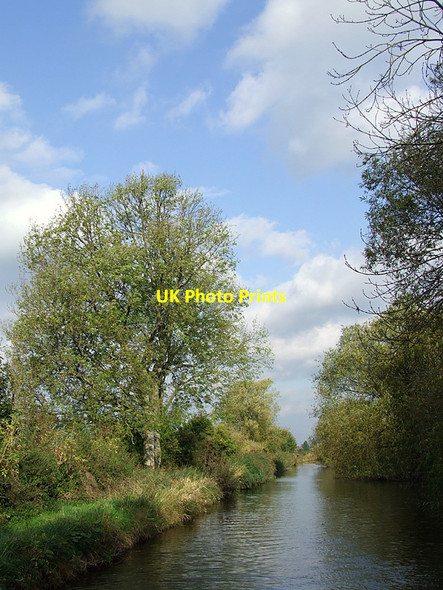 Photo 6"x4" Staffordshire and Worcestershire Canal south-east of Stafford Wildwood c2011