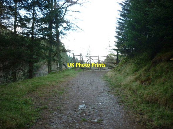 Photo 6"x4" Walking to Loch Earn via Glen Ample Ardchullarie More c2011