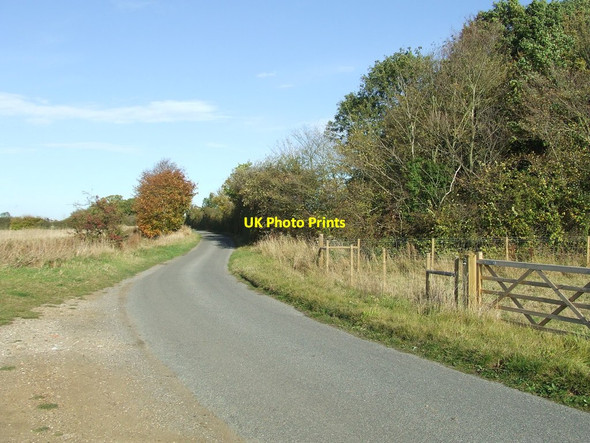 Photo 6"x4" Country Road Ovington\/TL7642 c2011