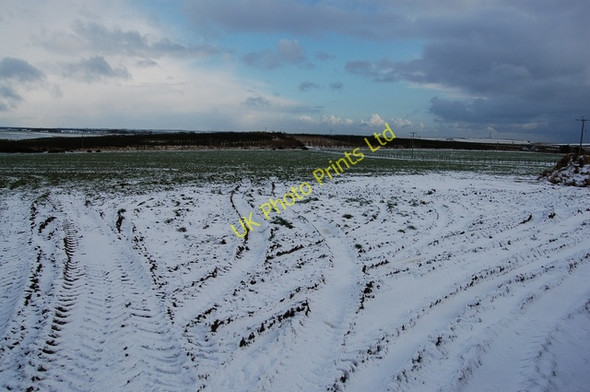 Photo 6"x4" Fields at Kinknockie Tipperty\/NJ9626 c2007