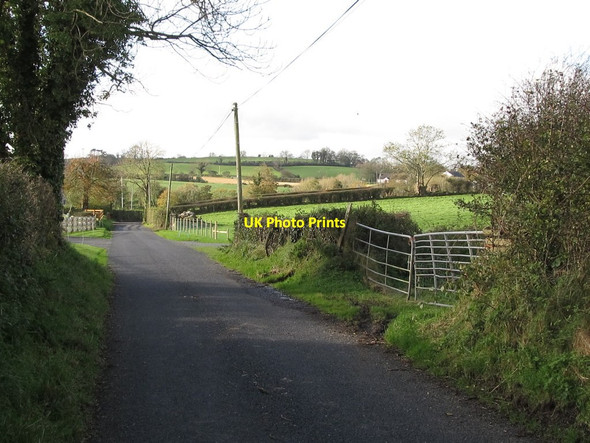 Photo 6"x4" View west along the New Line Milltown\/J1436 c2011