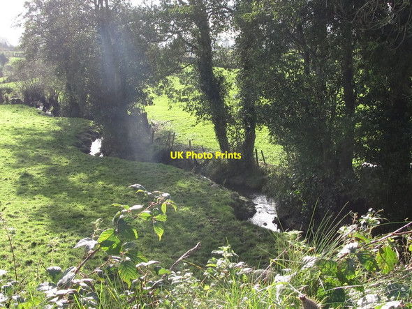 Photo 6"x4" Meandering stream viewed from the New Line road Milltown\/J1436 c2011